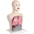 Medical Nurse Training Nasal Feeding and Gastric Lavage Simulator